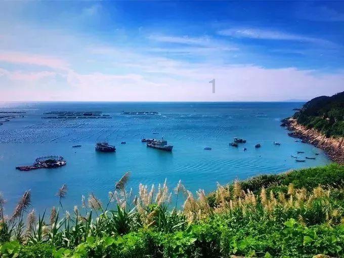 收藏好这组9宫格海报!明日去成博新展寻宝